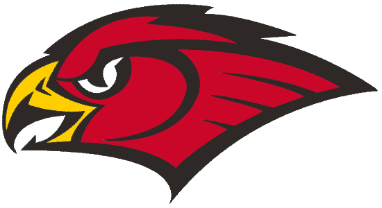Atlanta Hawks 1998-2007 Secondary Logo DIY iron on transfer (heat transfer)